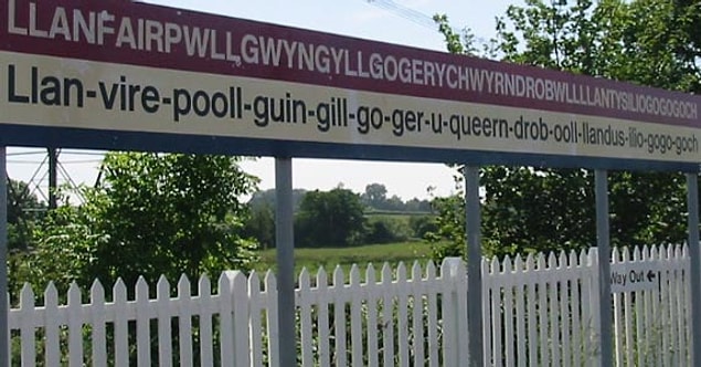 15. Galce (Welsh)