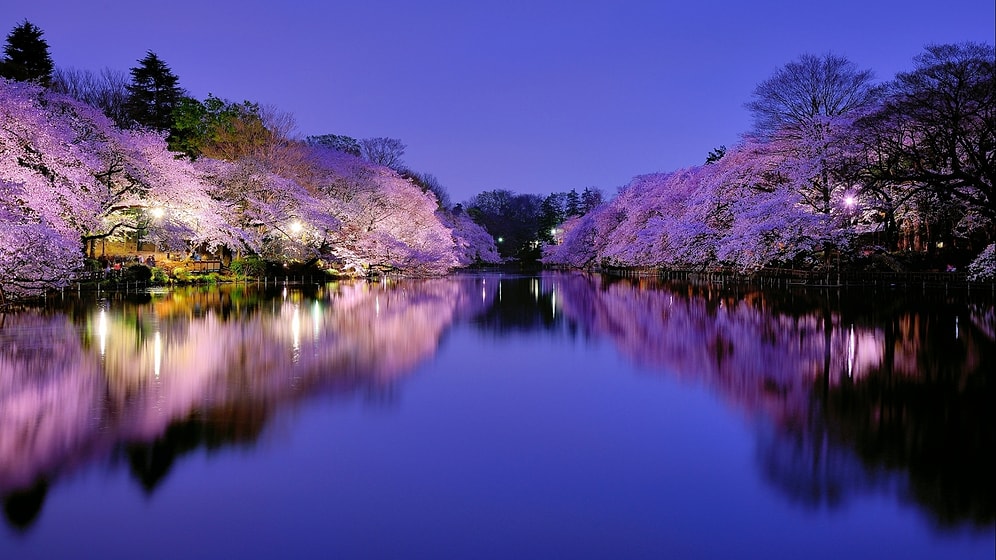 Doğanın Japonya'ya Torpil Geçtiğini Gösteren 15 Fotoğraf