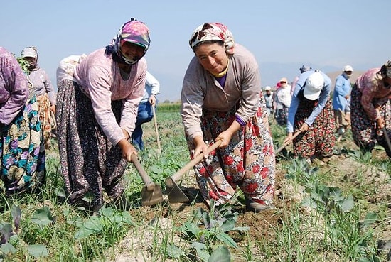 11 Maddede Türkiye'de Kadının Durumu