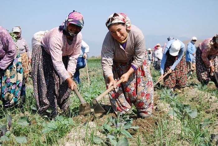 11 Maddede Türkiye'de Kadının Durumu