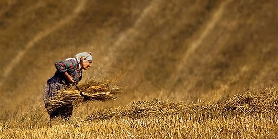 Akıl Yürütüyoruz: Medeniyetimizi Kuranlar Kadınlar Olsaydı Yaşanması Muhtemel 22 Şey