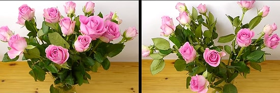 Vazodaki Çiçeklerinizin Daha Güzel Durması İçin Sizde Bunu Yapabilirsiniz!