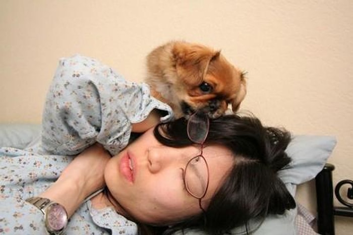 Sabah Neşesi Olarak Köpekler Tarafından Uyandırılan İnsanlar