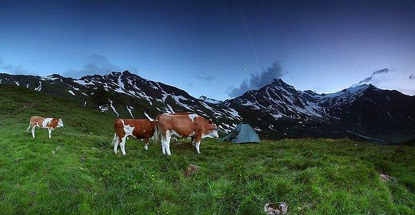 3. Hohe Tauern, 1,900m Alpler, Avusturya
