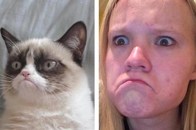 21. Grumpy cat