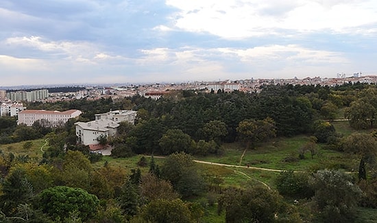 'Validebağ Deresi Kirletiliyor, Kasıtlı Olarak Önlem Alınmıyor'