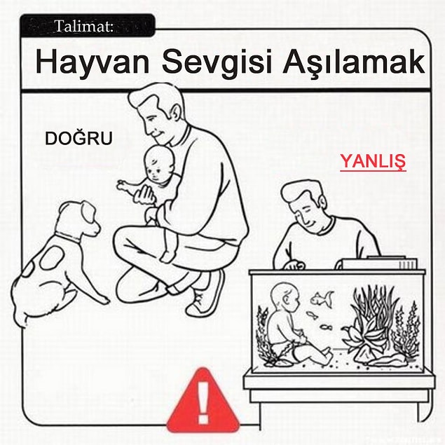 11.
