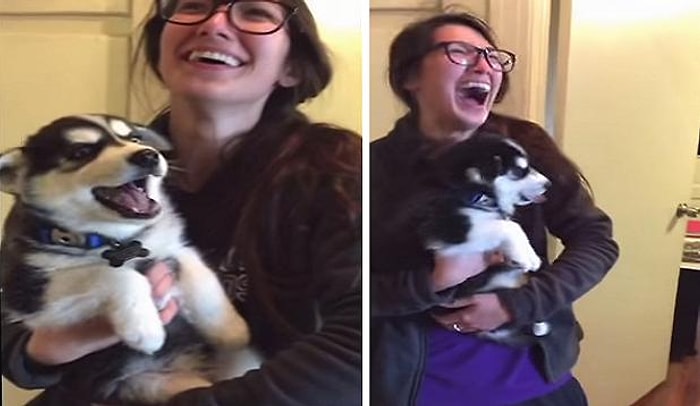 Anneanne Diyen Sevimli Yavru Köpek