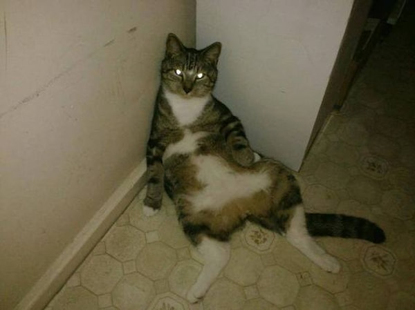 10.