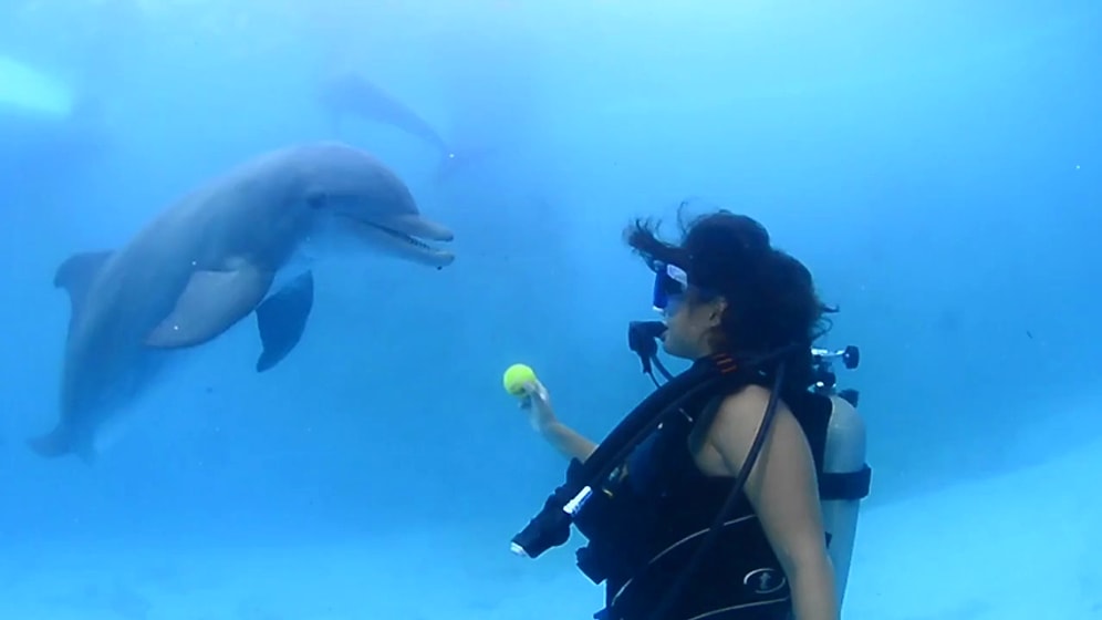 Yunuslar Eşliğinde Tenis Maçı