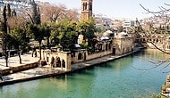 Şanlıurfa Balıklı Gül