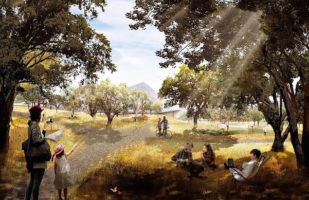 Oak Savannah