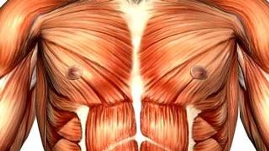 Kaslar Hakkında 10 Bilinmeyen Bilgi