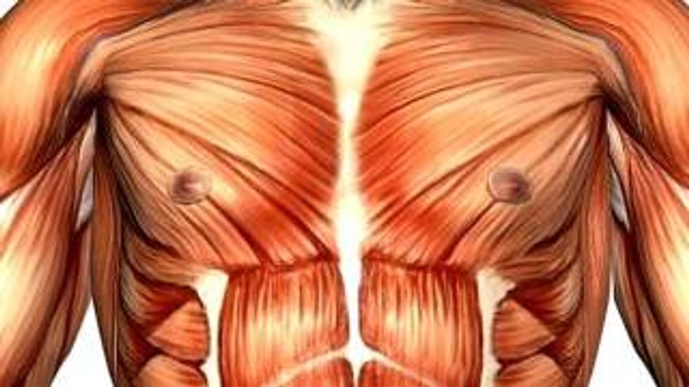 Kaslar Hakkında 10 Bilinmeyen Bilgi