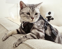 Xiaomi Bu Kez GoPro'ya Rakip Aksiyon Kamerası Geliştirdi