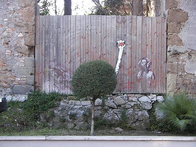 22. Devekuşu, Roma, İtalya.