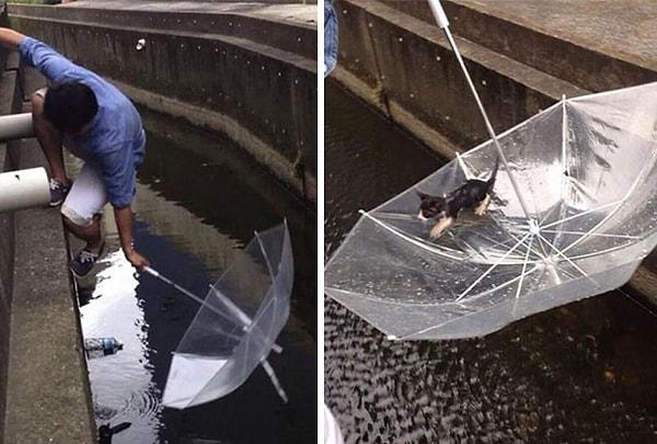 7. Yine boğulmakta olan yavru bir kediyi, şemsiyesiyle kurtaran adam..