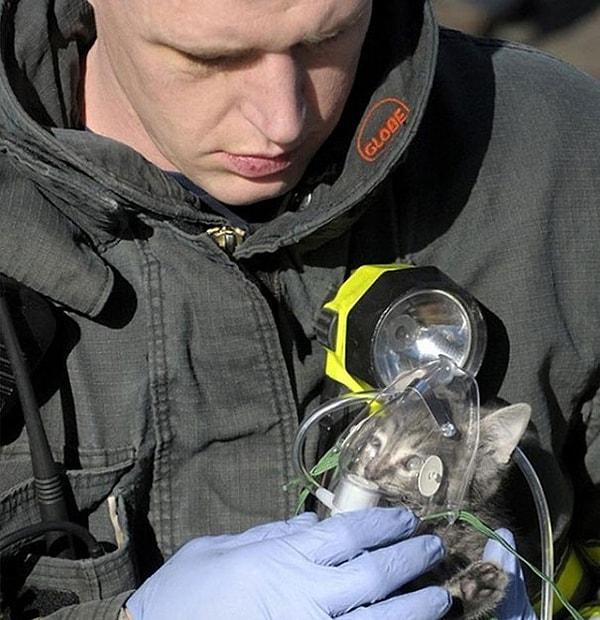 18. Yangından kurtarılan kediye oksijen veren bir itfaiyeci.