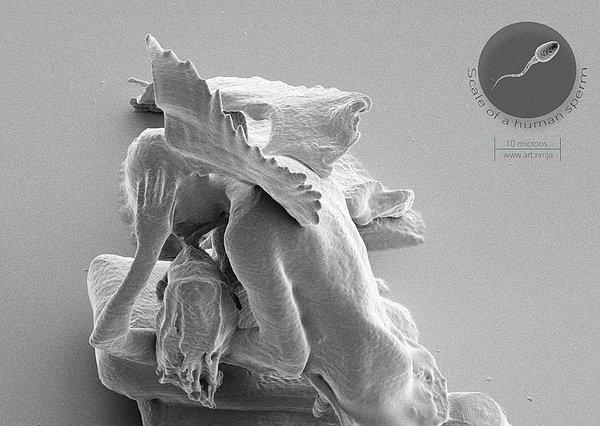 Bir insan sperminin görülebileceği ölçeğe ayarlanmış mikroskop görüntüsü