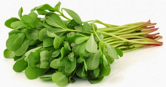 Semizotu Faydaları Nelerdir?