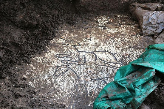 Şanlıurfa Siverek'te Bulunan Mozaik Korumaya Alındı