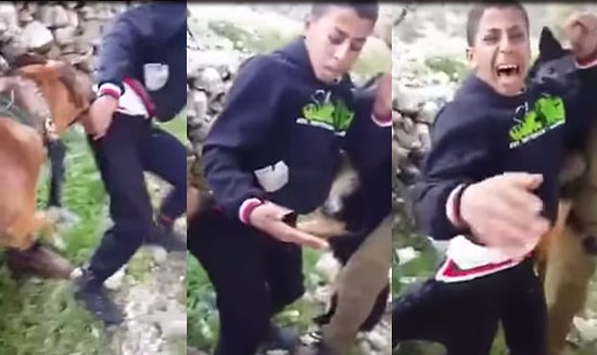 İsrail Askerinden Filistinli Çocuğa Köpekli Zulüm