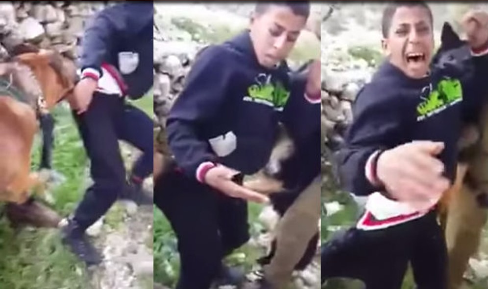 İsrail Askerinden Filistinli Çocuğa Köpekli Zulüm