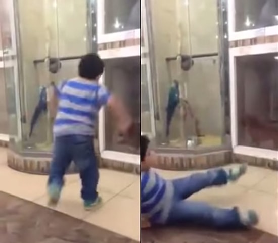 Köpeği Korkutmak İsterken Korkudan Kendisini Yere Atan Çocuk