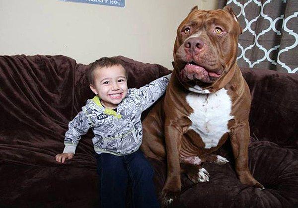 Sahibi köpeğine oğluyla beraber güveniyor. Oğlunun adı Jordan.