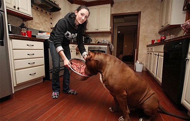 Hulk hergün yaklaşık 2 kilo özel destekleyicileriyle birlikte et yiyor.