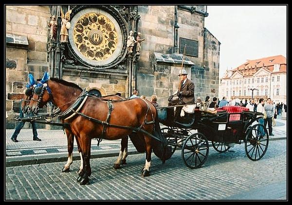 20-Ya da Prag'ın ihtişamlı atlarıyla tur?