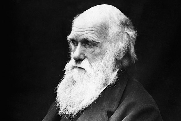 Evrim Denince Aklınıza Hemen Darwin Gelmesin!