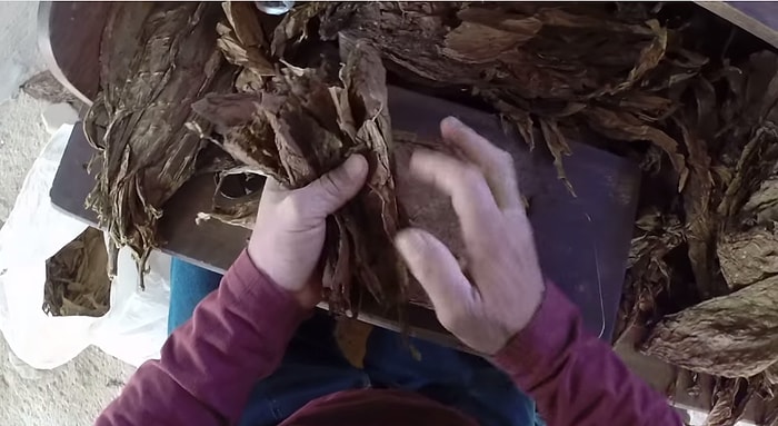 Pür Dikkat İzleyebileceğiz Puro Yapılışı