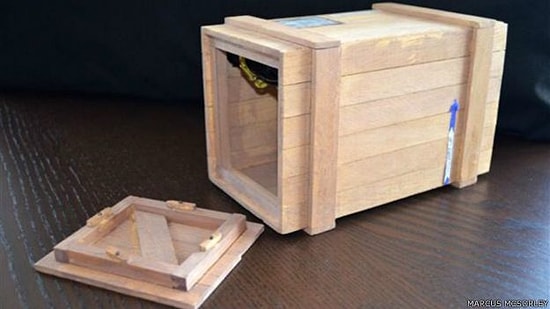 Kendini Kargoyla Avustralya'ya Postalayan Adam