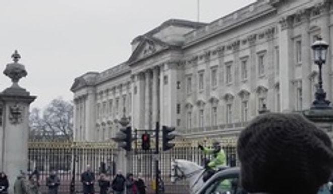 Buckingham Sarayı'nın Delisi