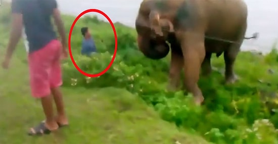 Sarhoş Adamın Fille İmtihanı