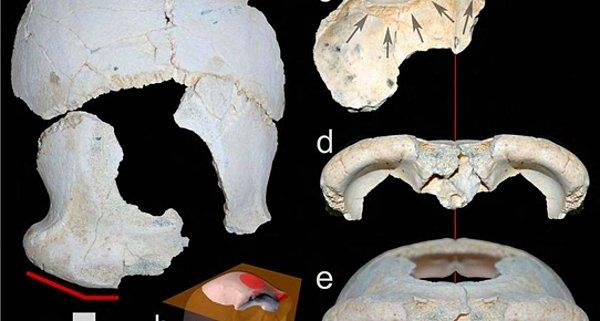 Denizli'de 1.2 milyon yıllık insan fosili bulunmuştu