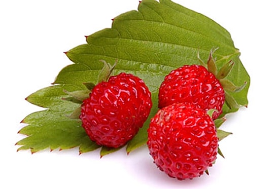 Antioksidan Deposu Dağ Çileği Reçeli Tarifi