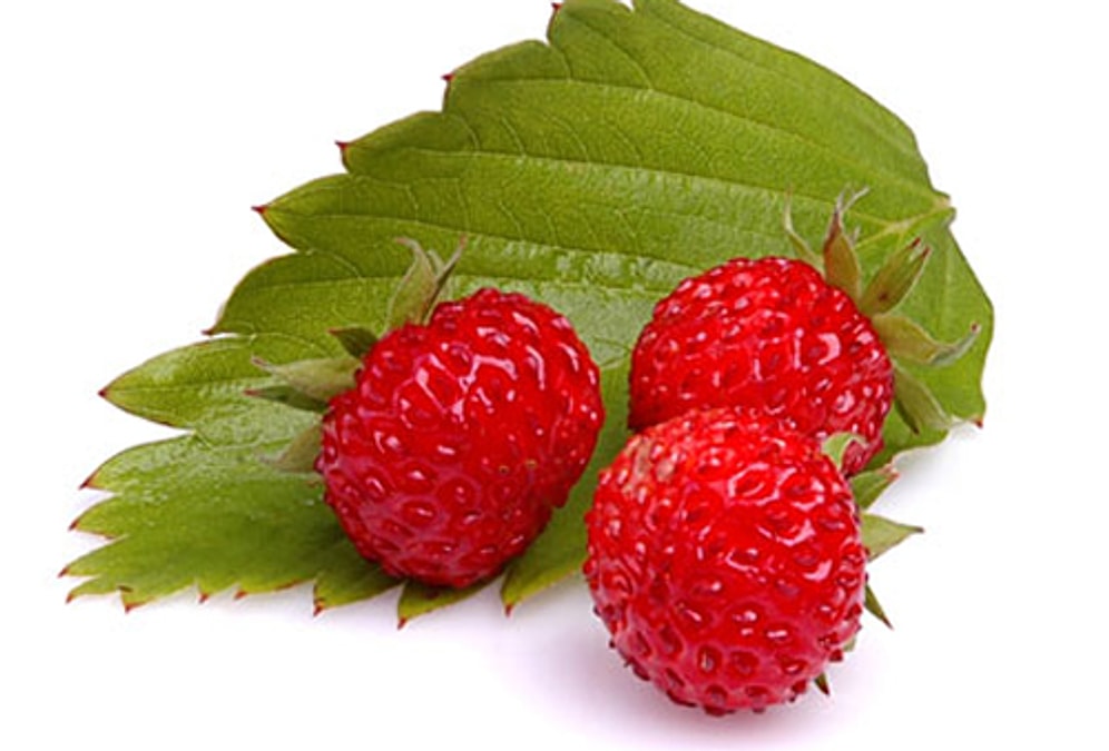 Antioksidan Deposu Dağ Çileği Reçeli Tarifi