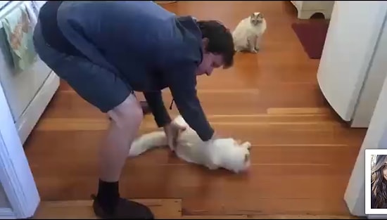 İçten İçe Temizlik Paspası Olmak İsteyen Kedi