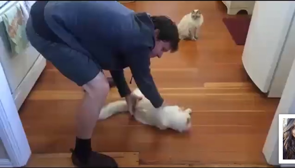 İçten İçe Temizlik Paspası Olmak İsteyen Kedi