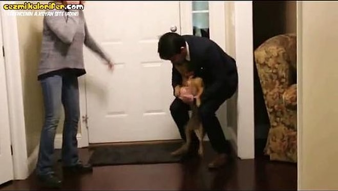 Sahibini 2 Yıl Sonra Gören Köpeğin Sevinç Patlaması