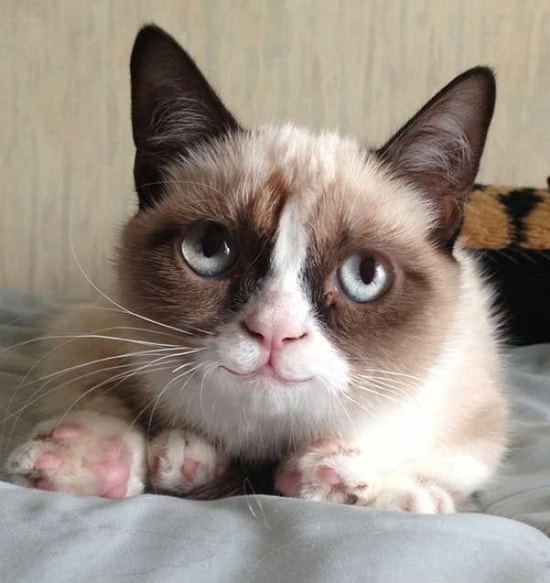 Mutsuzum Derken İki Kere Düşünmenizi Sağlayacak 20 An