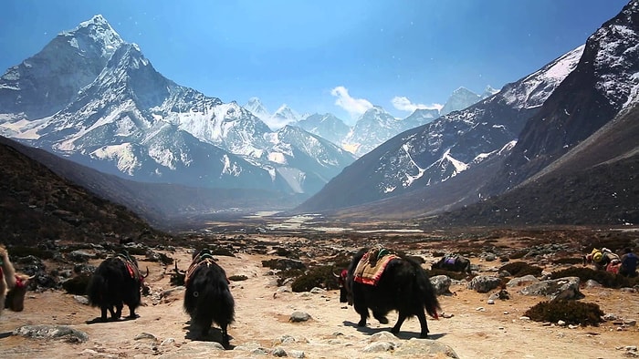 Google Street View Şimdi de Everest’i Fotoğrafladı