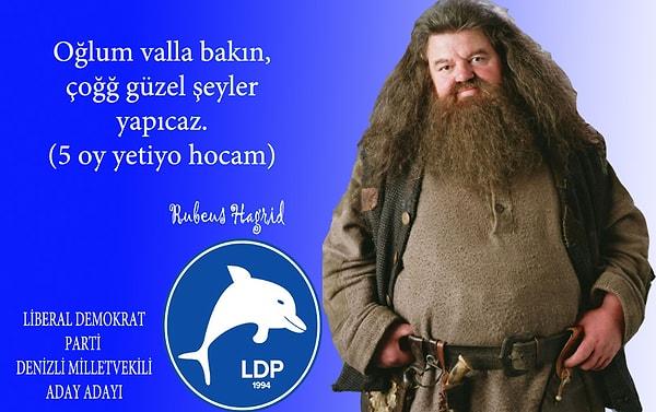6. Rubeus Hagrid- LDP - Denizli
