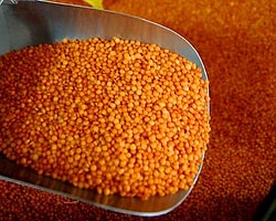 39 Bin Ton GDO'lu Mercimek Piyasaya Sürülebilir