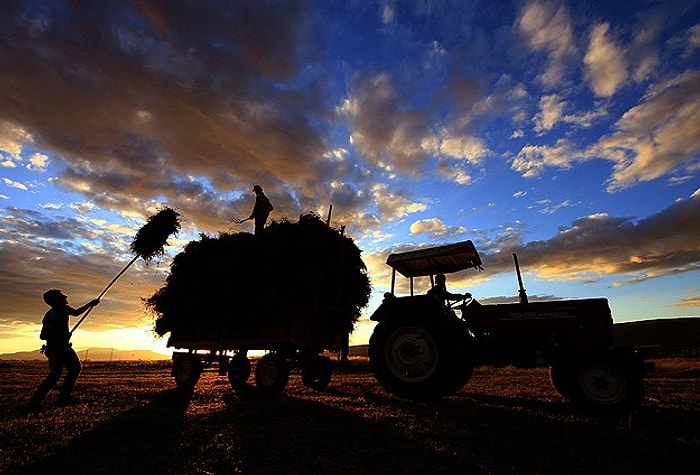 'Dolardaki Artış Çiftçiyi Zora Soktu'