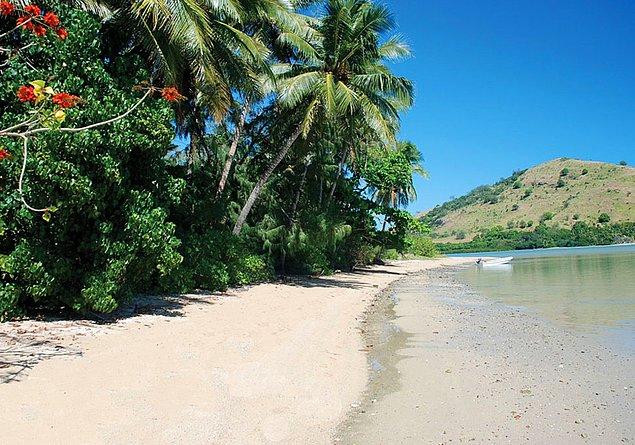 4. Ada, hindistan cevizi ağaçlarıyla ve çeşitli tropikal çiçeklerle dolu beyaz kumsallara sahip.