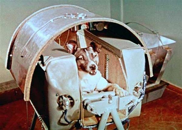 26. Uzaya giden ilk köpek Laika ve onun kapsülü, geri döndüğüne dair hiçbir kanıt yok, yörüngede maalesef ölmüş, 1957.