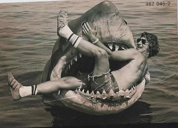 33. Jaws